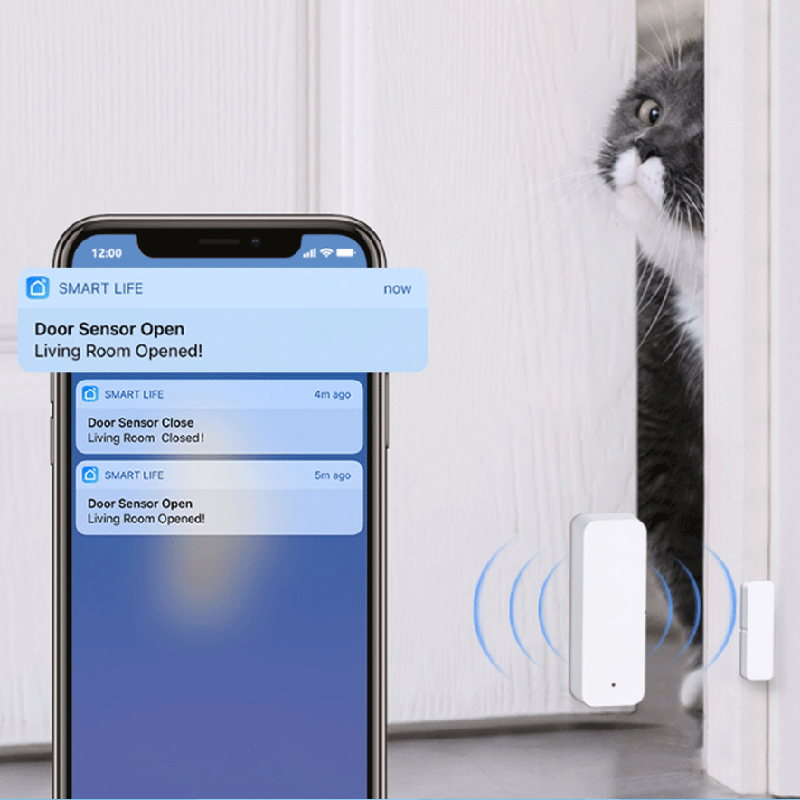 Tuya WiFi Zigbee Door Window S - огляд і ціна Smart Home Life