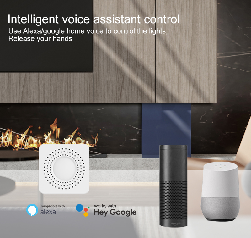 Tuya Mini Smart Switch WiFi 1- - огляд і ціна Smart Light Switch